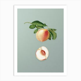 Vintage Peach Botanical Art on Mint Green n.0844 Art Print