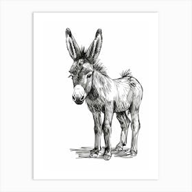 B&W Donkey 2 Art Print