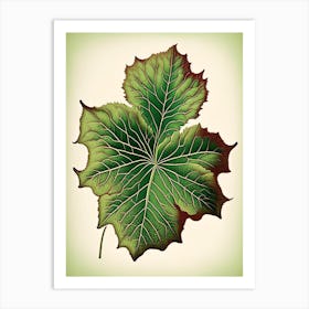 Malva Leaf Vintage Botanical 1 Art Print
