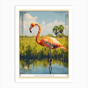 Greater Flamingo Camargue Provence France Tropical Illustration 6 Poster Art Print