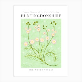 UK County Flowers Huntingdonshire Water Violet Art Print