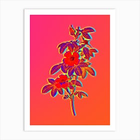 Neon Single May Rose Botanical in Hot Pink and Electric Blue n.0587 Art Print