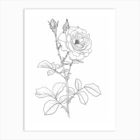 Roses Sketch 27 Art Print