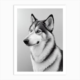 Alaskan Malamute B&W Pencil Dog Art Print