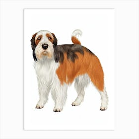 Pointer (German Wirehaired) Illustration Dog Art Print