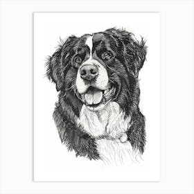 Bernese Mountain Dog Line Sketch 2 Art Print