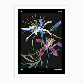 No Rain No Flowers Poster Love In A Mist Nigella 2 Art Print