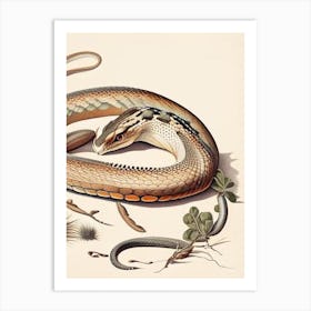 Rattlesnake 1 Vintage Art Print