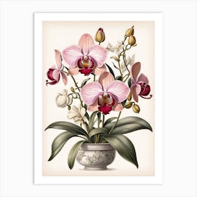 Orchids In A Vase Art Print