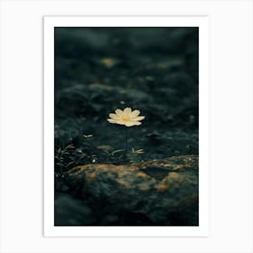 Single Flower 19 Art Print