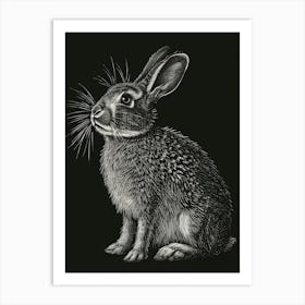 English Silver Blockprint Rabbit Illustration 3 Art Print