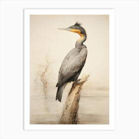 Vintage Bird Drawing Cormorant 3 Art Print