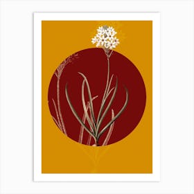 Vintage Botanical Arabian Starflower on Circle Red on Yellow n.0275 Art Print