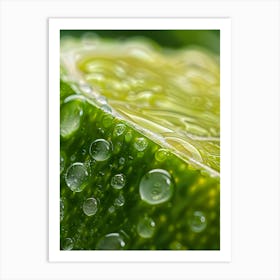 Water Droplets On Lime Art Print