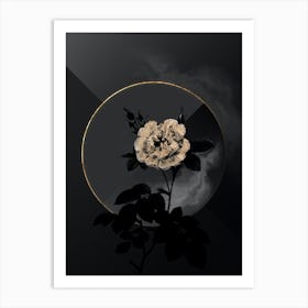 Shadowy Vintage White Rose Botanical on Black with Gold Art Print