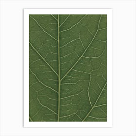 Green Hibiscus Leaf Look Real Close Art Print