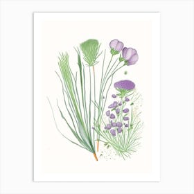 Chives Spices And Herbs Pencil Illustration 1 Art Print