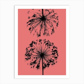 Coral allium 1 Art Print