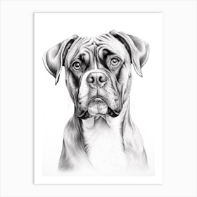 Boxer Dog, Line Drawing 5 Art Print
