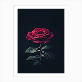 Rose On A Black Background 22 Art Print