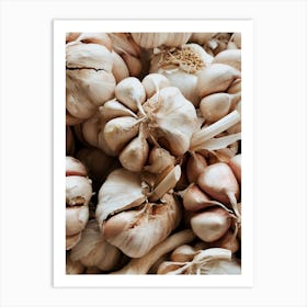 Kitchen Essentials – Garlic Art Print