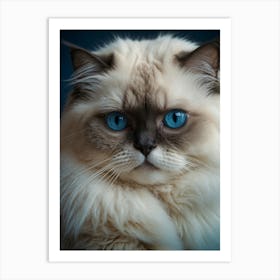 Blue Eyes Cat Art Print