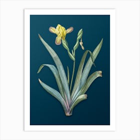 Vintage Hungarian Iris Botanical Art on Teal Blue n.0875 Art Print