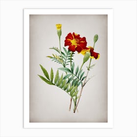 Vintage Mexican Marigold Botanical on Parchment n.0733 Art Print