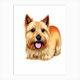 Norwich Terrier Illustration Dog Art Print