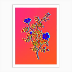 Neon Pink Hedge Rose in Bloom Botanical in Hot Pink and Electric Blue n.0148 Art Print