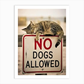 No Dogs Allowed Sign Art Print