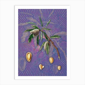 Vintage Almond Botanical Illustration on Veri Peri n.0328 Art Print