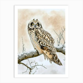 Short Eared Owl Painting 3 Art Print