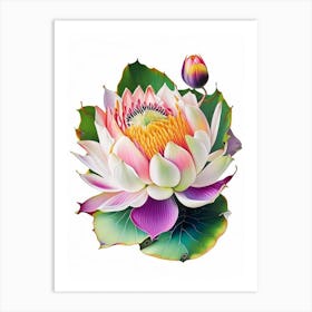 Amur Lotus Decoupage 5 Art Print