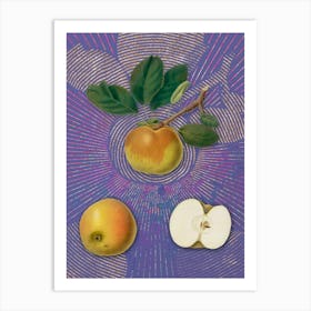 Vintage Apple Botanical Illustration on Veri Peri n.0572 Art Print