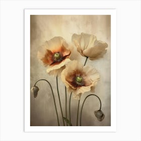 Poppies 30 Art Print