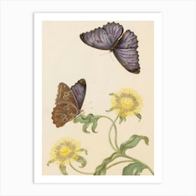 Butterflies On Dandelion Art Print