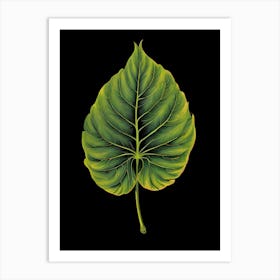 Hibiscus Leaf Art Print