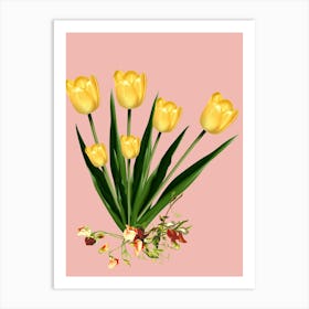 Yellow Tulips Art Print