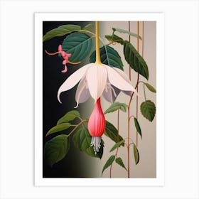 Flower Illustration Fuchsia Art Print