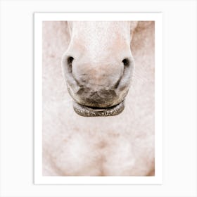 Horse's Nose Art Print