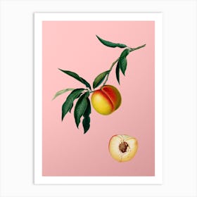 Vintage Peach Botanical on Soft Pink n.0409 Art Print