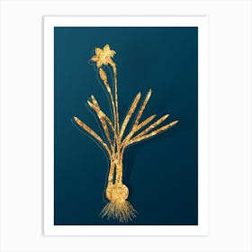 Vintage Narcissus Gouani Botanical in Gold on Teal Blue n.0222 Art Print