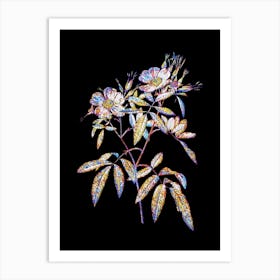 Stained Glass Pink Swamp Roses Mosaic Botanical Illustration on Black Art Print
