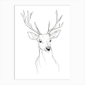 Deer Head Drawing Art Print