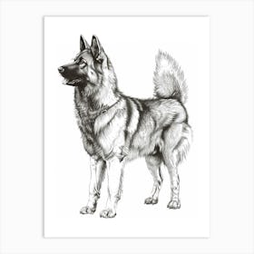 Norweigan Elkhound Dog Line Sketch 1 Art Print