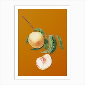 Vintage Duracina Peach Botanical on Sunset Orange n.0537 Art Print