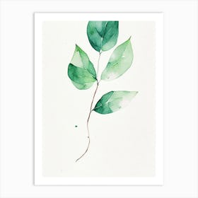 Wintergreen Leaf Minimalist Watercolour 2 Art Print
