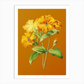Vintage Lychnis Grandiflora Botanical on Sunset Orange n.0255 Art Print