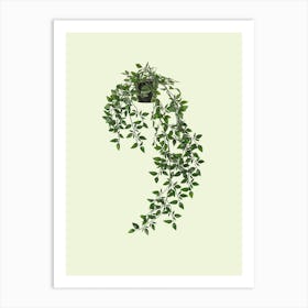 Hanging, Plant, Boho, Botanical, Art, Nature, Home Decor, Living Room, Kitchen, Bedroom, Wall Print Art Print